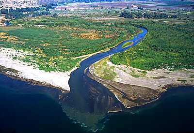 يبلغ طول نهر النيل ٦٦٥٠ كلم ، وطول نهر الفرات ٢٧٠٠ كلم . أي النهرين أطول ؟